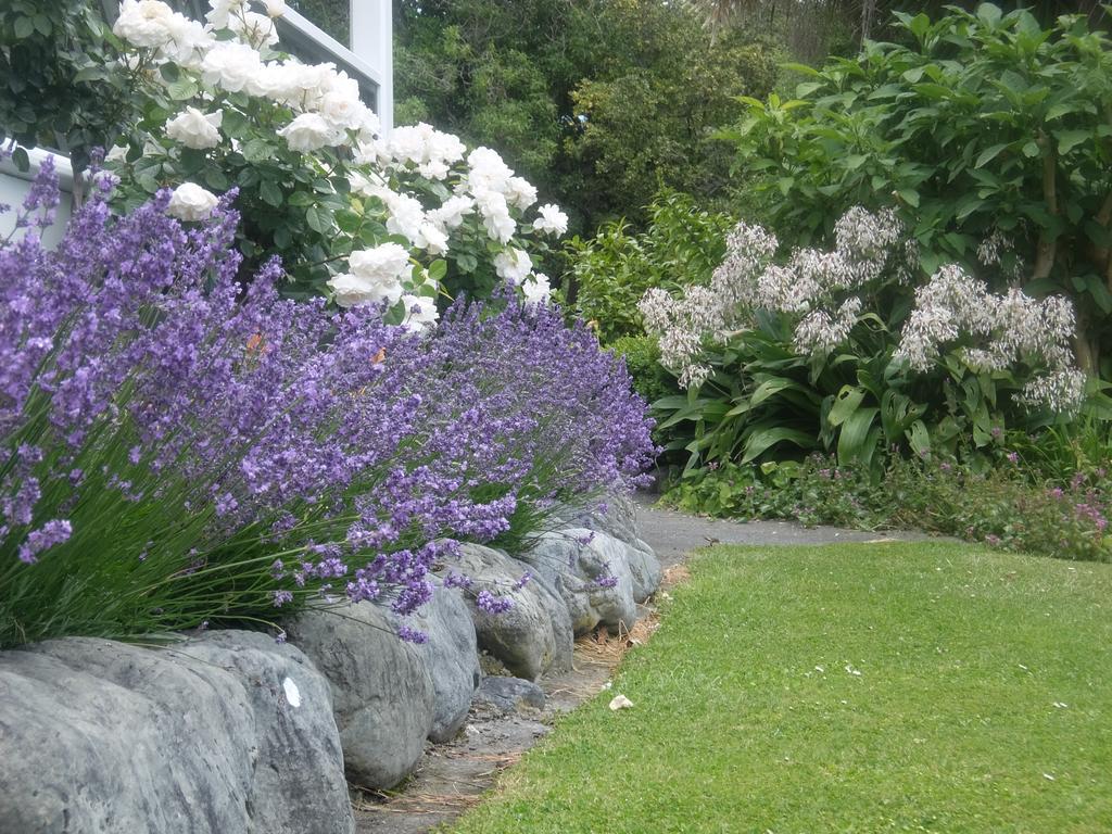 The Point B&B Kaikoura Esterno foto