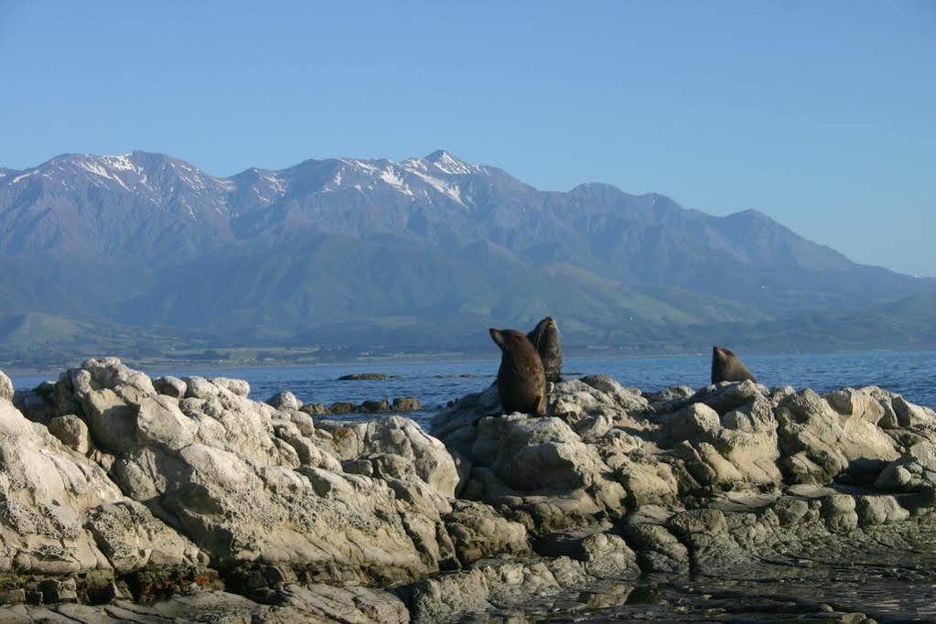 The Point B&B Kaikoura Esterno foto